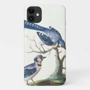 Case-Mate iPhone Case Aquarelle Blue Jay Birds Art