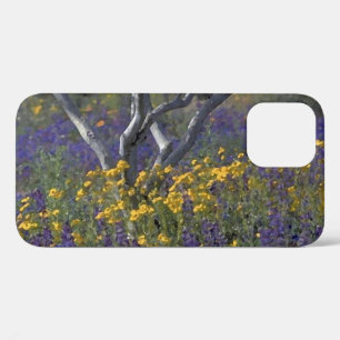 Case-Mate iPhone Case Aquarelle California Lupine & Poppies