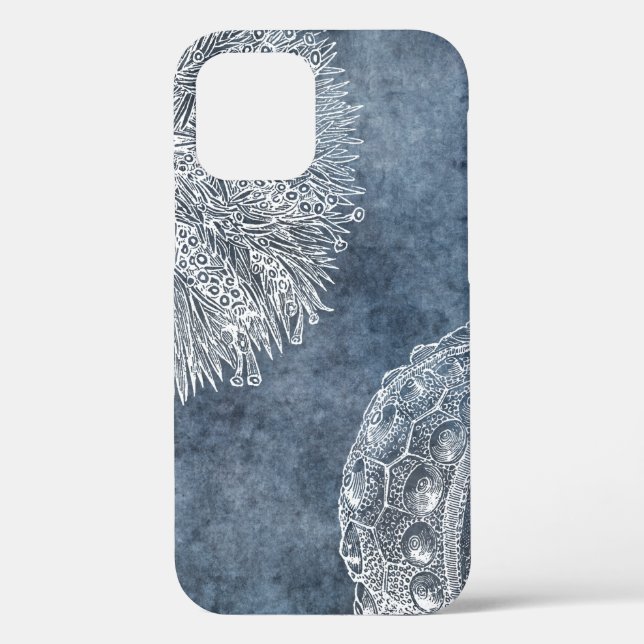 Coques Case-Mate iPhone Aquarelle de Sea Urchin Océan bleu blanc bleu mari (Verso)