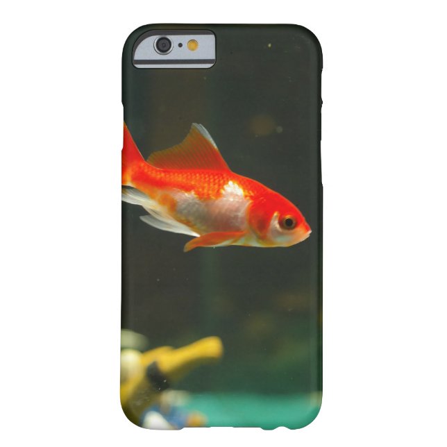 Coques Case-Mate iPhone Aquarium personnalisé Spécialité Poisson d'or (Dos)
