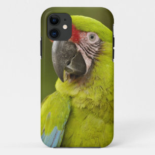 Coques Pour iPhone Ara militaire