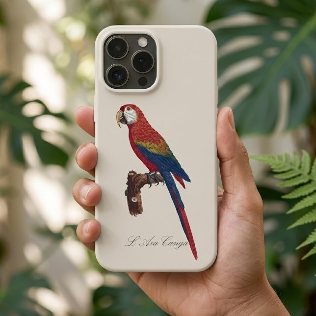 Coques Case-Mate iPhone Ara rouge ou Ara macao, Ara macao (Scarlet Macaw or Red-Breasted Macaw, Ara macao. iPhone Case)