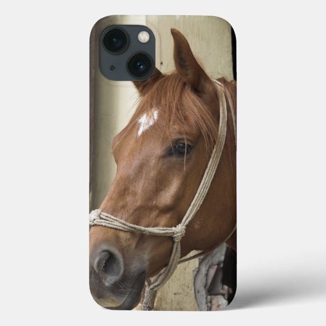 Coques Case-Mate iPhone Arab Horses (Verso)