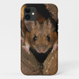 Coque iPhone 11 Arachide la souris en bois