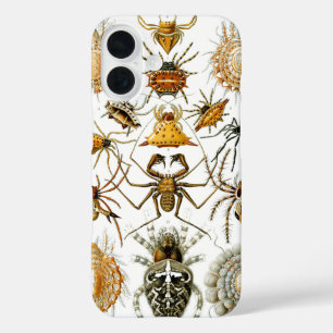 Coque Pour iPhone 16 Arachnides par Ernest Haeckel illustration vintage