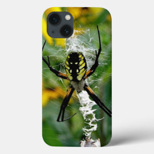 iPhone 13 Case Araignée d'orbite dans la toile