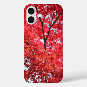 Coque Pour iPhone 16 Plus Arbre à érable rouge