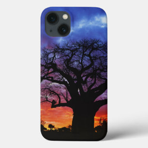 Coque Case-Mate iPhone arbre baobab africain, Adansonia digitata, 2