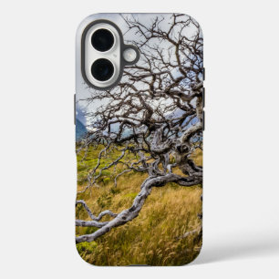 Coque Pour iPhone 16 Arbre brûlé, Torres del Paine, Chili