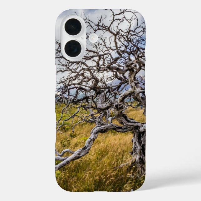 Coques Case-Mate iPhone Arbre brûlé, Torres del Paine, Chili (Verso)