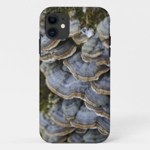 Case-Mate iPhone Case Arbre Champignons Téléphone, iPhone SE + iPhone 5/