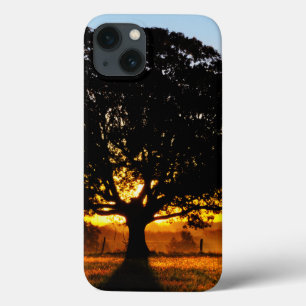 iPhone 13 Case Arbre pendant le matin