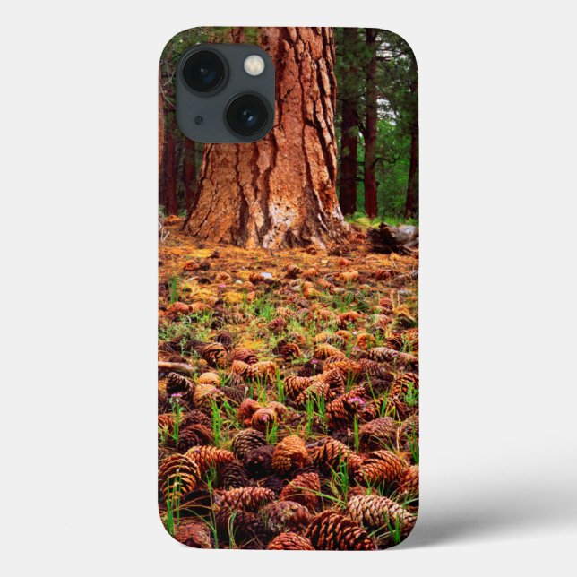 Coques Case-Mate iPhone Arbre Ponderosa ancien avec des cônes de pin (Verso)