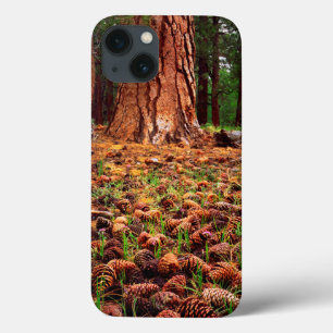 Etui iPhone Case-Mate Arbre Ponderosa ancien avec des cônes de pin
