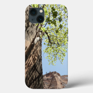 Case-Mate iPhone Case Arbre qui pousse entre les rochers dans le parc na