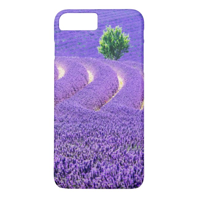 Coques Case-Mate iPhone Arbre solitaire dans le champ de lavande, France (Dos)