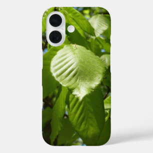 Coques iPhone 16 Arbre vert Feuille à bouleau printanier