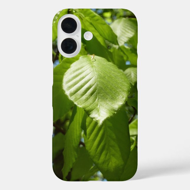 Coques Case-Mate iPhone Arbre vert Feuille à bouleau printanier (Verso)