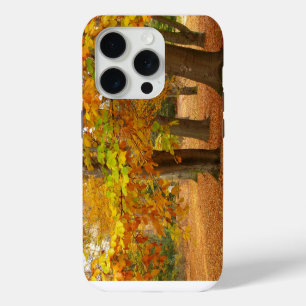 Coque Case-Mate iPhone Arbres d'automne