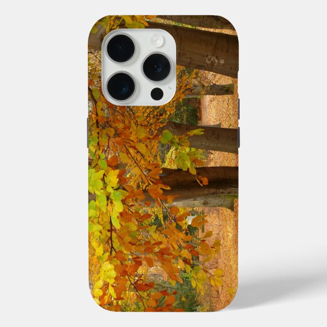 Coques Case-Mate iPhone Arbres d'automne (Verso)