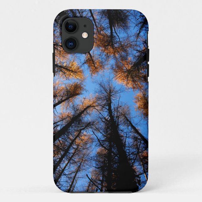 Coques Case-Mate iPhone Arbres d'automne au coucher du soleil (Dos)