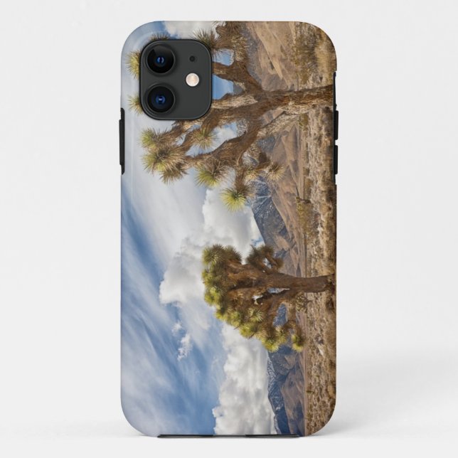 Coques Case-Mate iPhone Arbres de Joshua dans le désert (Dos)