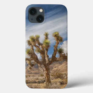 Etui iPhone 13 Arbres de Joshua dans le désert