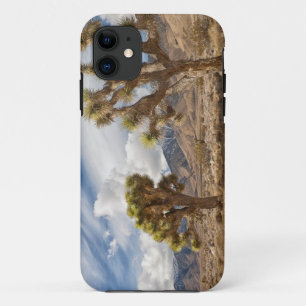 Coque iPhone 11 Arbres de Joshua dans le désert
