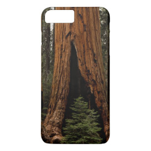 Coque iPhone 7 Plus Arbres de séquoia, Parc national de Sequoia.