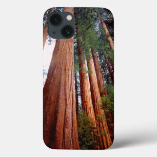 iPhone 13 Coque arbres séquoias géants à feuilles rouges