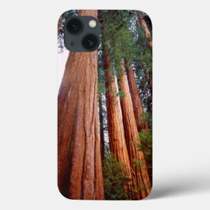 iPhone 13 Coque Arbres séquoias géants à feuilles rouges de vieill