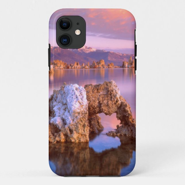 Coques Case-Mate iPhone Arc de tufière du Mono Lake (Dos)