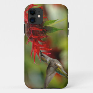 Coques Pour iPhone Archilochus Colubris