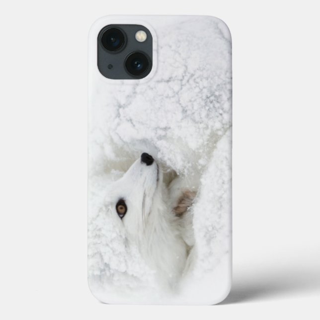 Coques Case-Mate iPhone Arctic Fox curled up in winter (Verso)