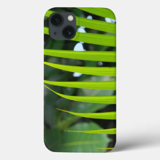 iPhone 13 Coque Areca Palm Frond