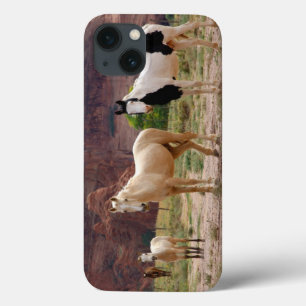 Etui iPhone Case-Mate Arizona, réserve indienne navajo, Chinle,