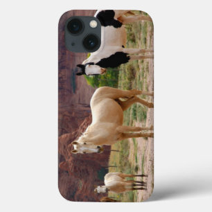 Coques Pour iPhone Arizona, réserve indienne navajo, Chinle,