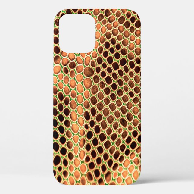 Coques Case-Mate iPhone Arrière - plan de peau de serpent (Verso)