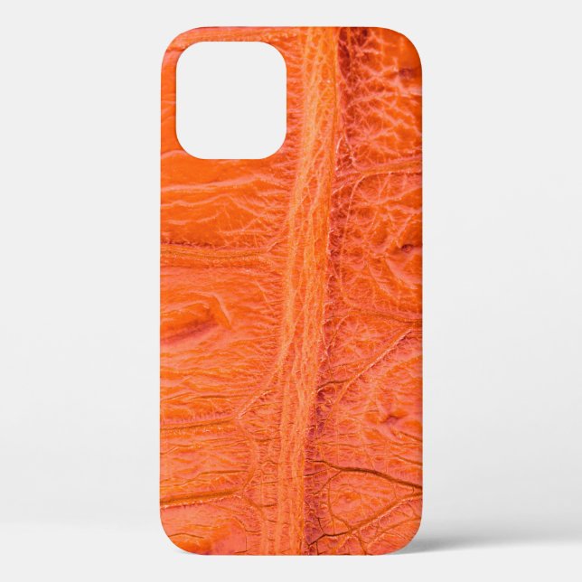 Coques Case-Mate iPhone Arrière - plan de texture de peau du ventre crocod (Verso)