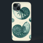 iPhone 13 Coque Art de coquillage rouge et vert<br><div class="desc">L'artiste Denis Diderot est talentueux et connu pour ses grandes images de la vie marine. Dans cette image très vivante, il capture deux coquillages conques crackled rouge et vert dans leur style le plus naturel. Les conches sont souvent craquelés comme ces deux coquillages et dans un ton sépia. Obtenez votre...</div>