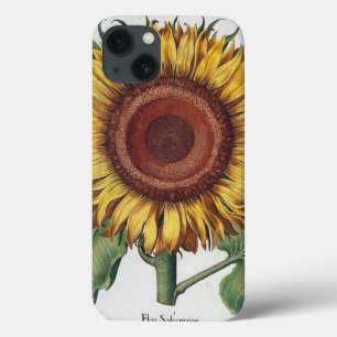 iPhone 13 Case Art de fleur de damas vintage tournesol
