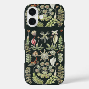 Coque Pour iPhone 16 Art Nature Scientifique Ernst Haeckel Hépatiques