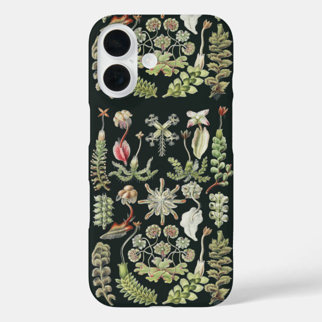Coques Case-Mate iPhone Art Nature Scientifique Ernst Haeckel Hépatiques (Verso)