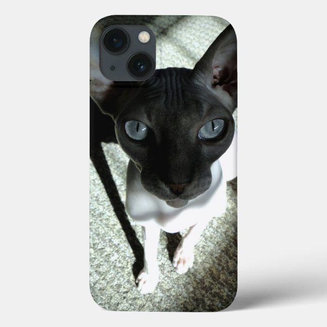 Coques Case-Mate iPhone Art Orig : "Attention, le Sphynx peut hypnotiser.. (Verso)