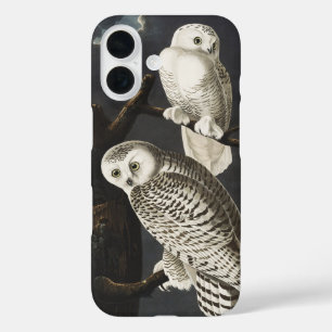 Coque Pour iPhone 16 Art vintage de l'aigle de neige nocturne d'Audubon