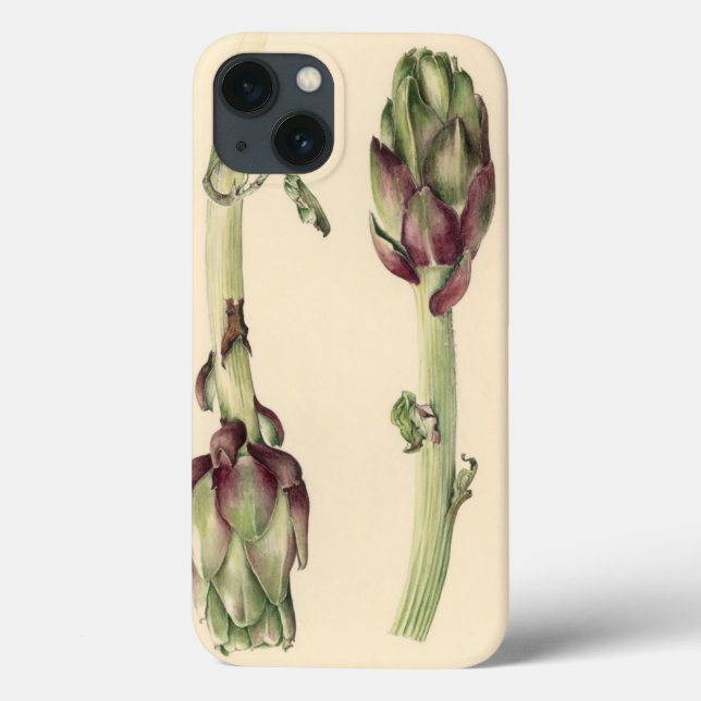 Coques Case-Mate iPhone Artichauts 2005 (Verso)