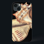 iPhone 13 Case Artistic Conch Shells<br><div class="desc">Jennifer Goldberger has an amazing collection of capture capturing the gems of the ocean. dans this beautiful,  classic neutral color painting,  these two Conch seashells are the main object of the image. Get this nautical styled art on your favorite products today!</div>