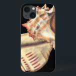 iPhone 13 Case Artistic Conch Shells<br><div class="desc">Jennifer Goldberger has an amazing collection of capture capturing the gems of the ocean. dans this beautiful,  classic neutral color painting,  these two Conch seashells are the main object of the image. Get this nautical styled art on your favorite products today!</div>