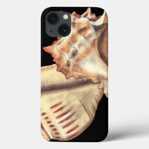 iPhone 13 Case Artistic Conch Shells