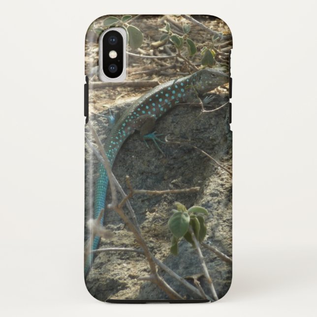 Coques Case-Mate iPhone Aruba Whiptail Lizard Photographie d'animaux tropi (Dos)